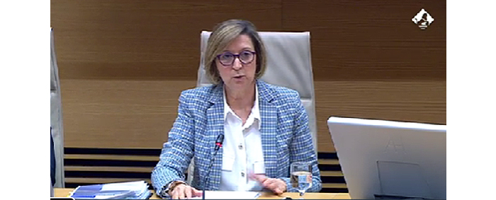 La Presidenta de la OIReScon en la Comparecencia del Congreso de los Diputados