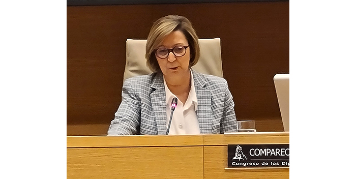 La Presidenta de la OIReScon en la Comparecencia del Congreso de los Diputados