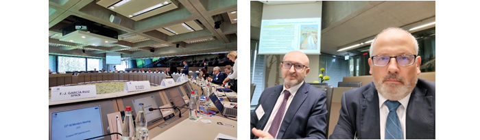 Director de la División y Jefe de Equipo de Evaluación de Proyectos